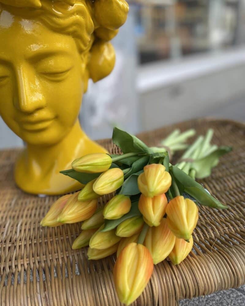 EDG Tulipano Yellow Flower
