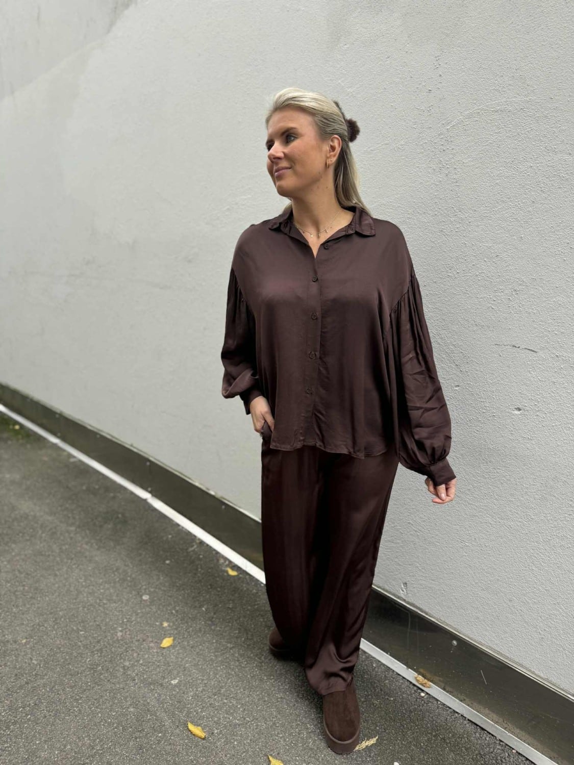 IBC Collection Vicky Silk Pants Brown