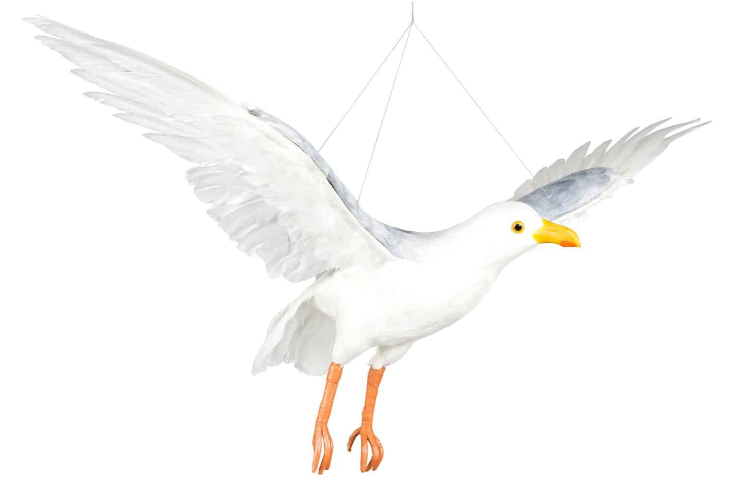 A Lot Decoration FLyvende Måke