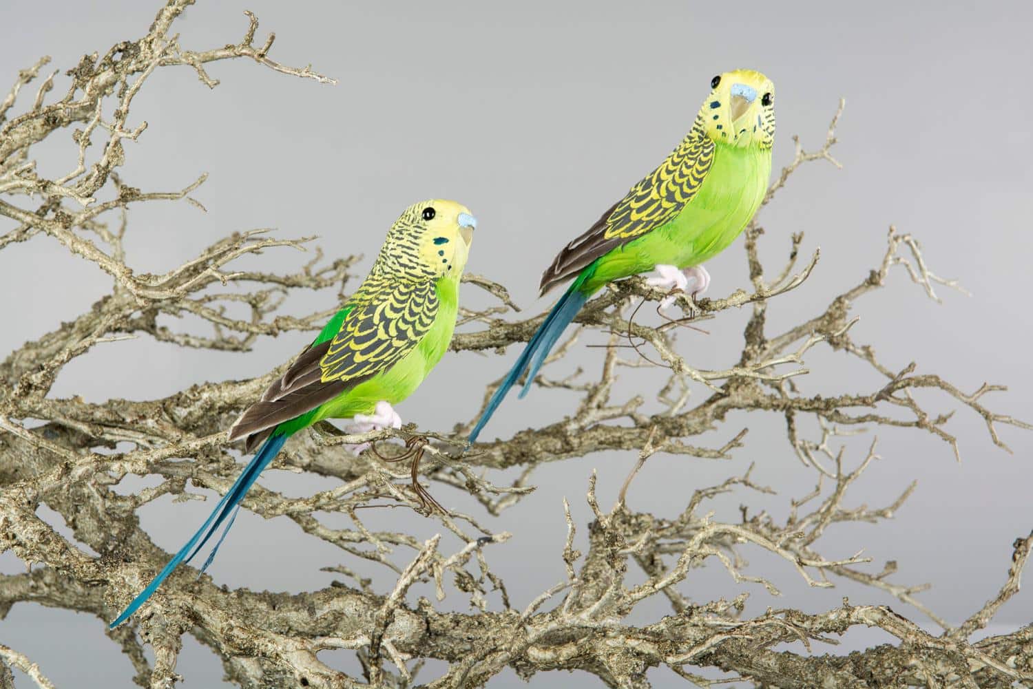 A Lot Decoration Undulat grønn