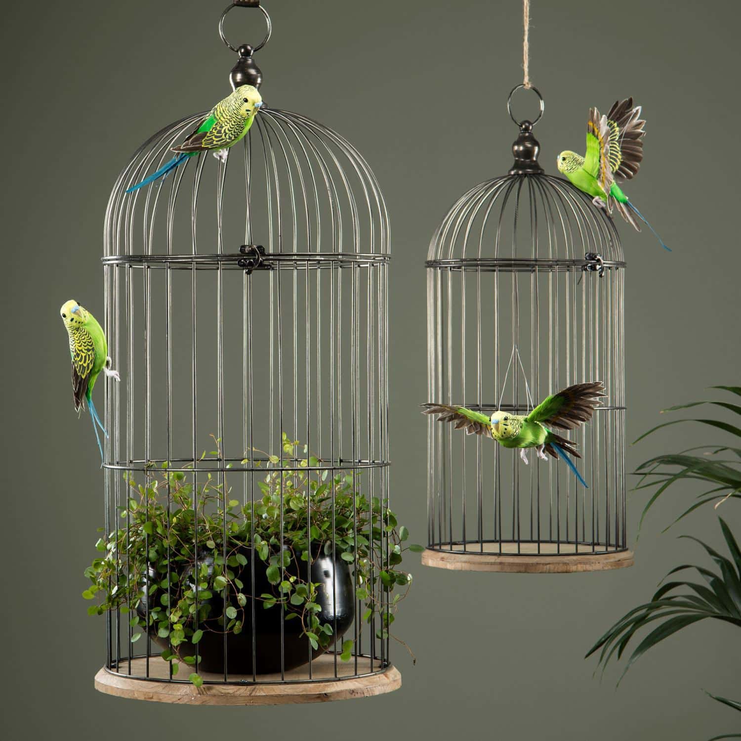 A Lot Decoration Undulat Sittende Grønn