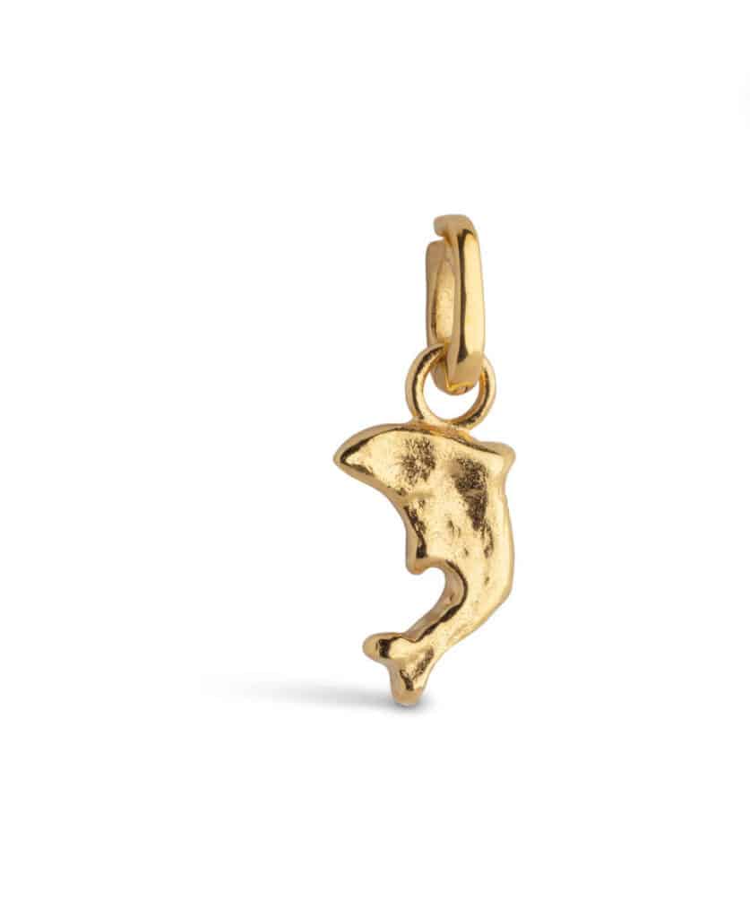 Enamel Charm Joyful Dolphin