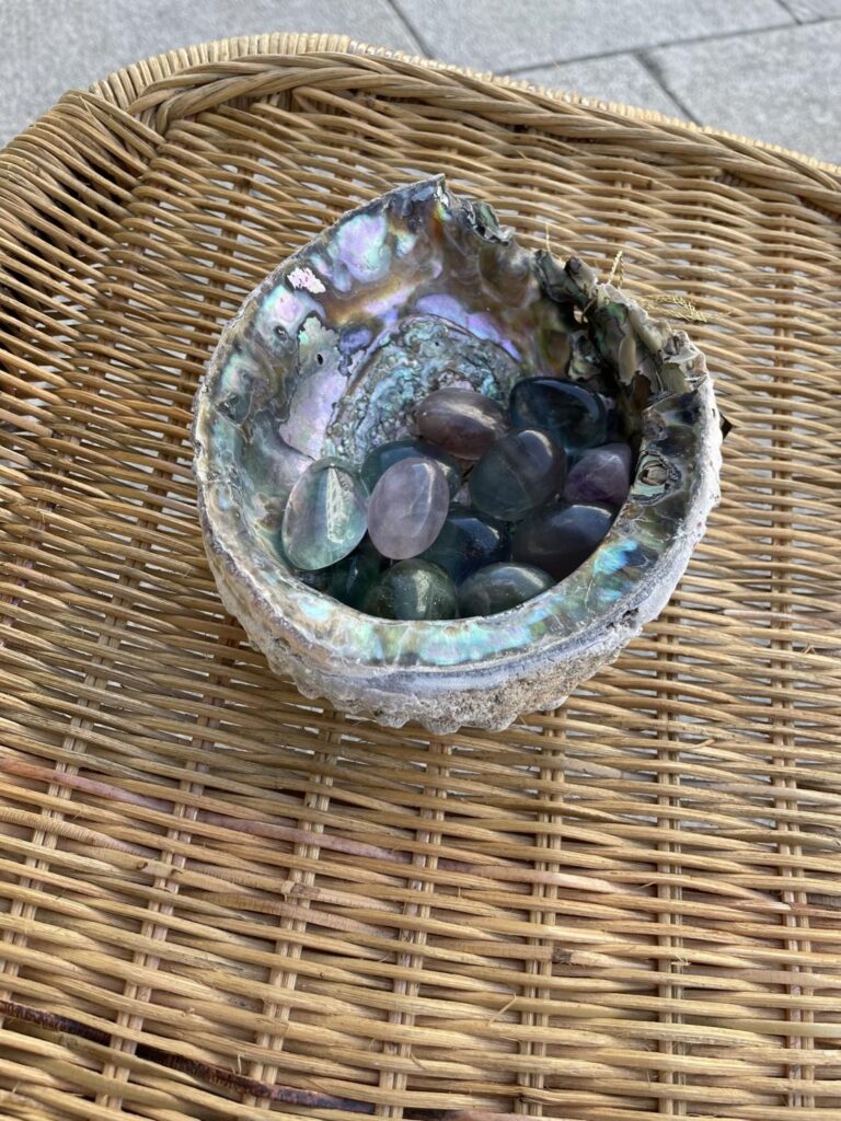 Moore Trumlet Regnbuefloritt