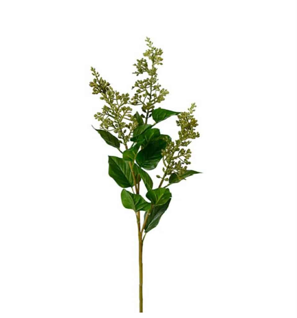 Mr. Plant Bærkvist Natural