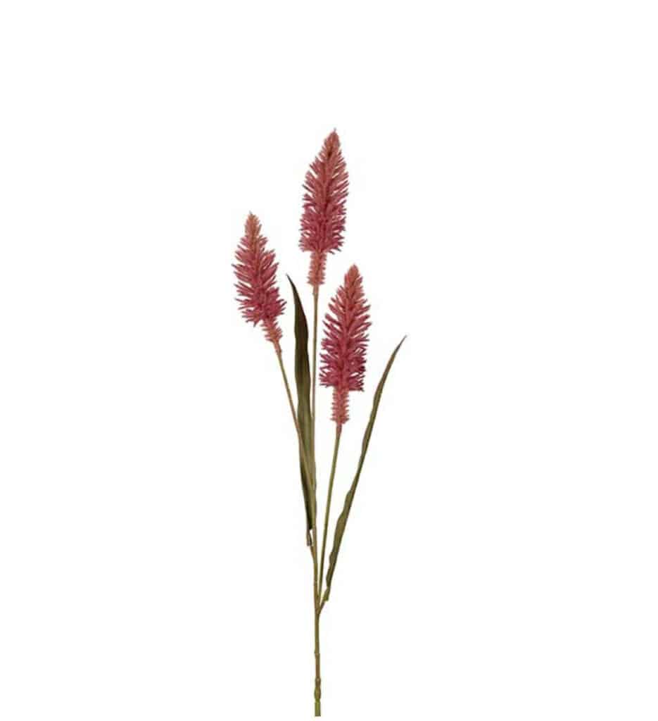 Mr. Plant Gress Pink