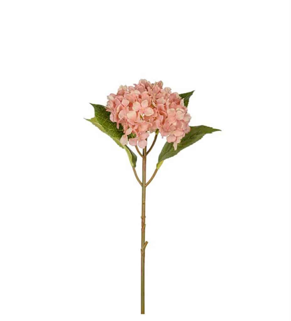 Mr. Plant Hortensia Light Pink