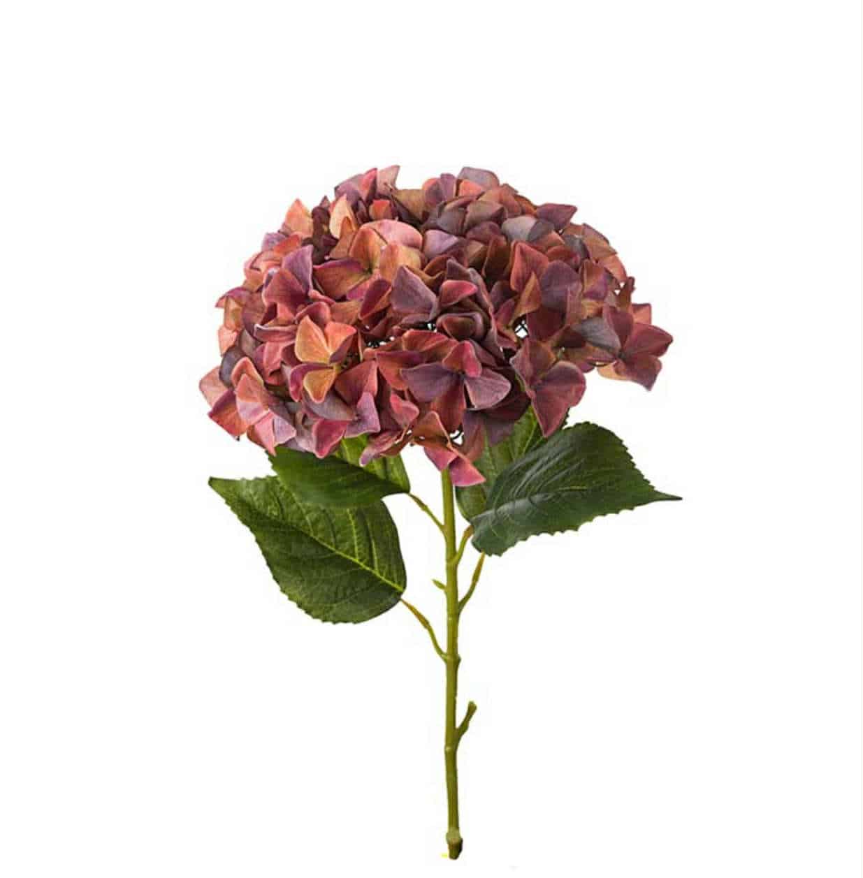 Mr. Plant Hortensia Stor Pink