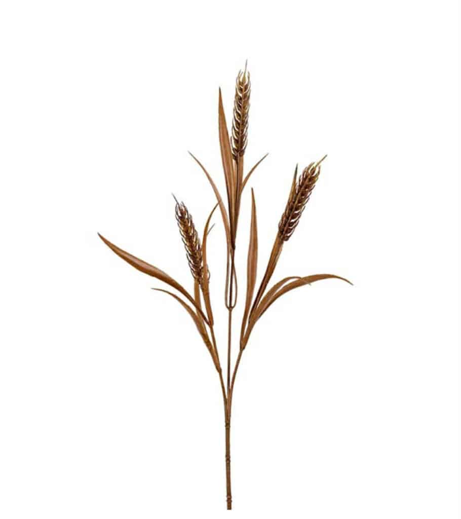 Mr. Plant Vete strå