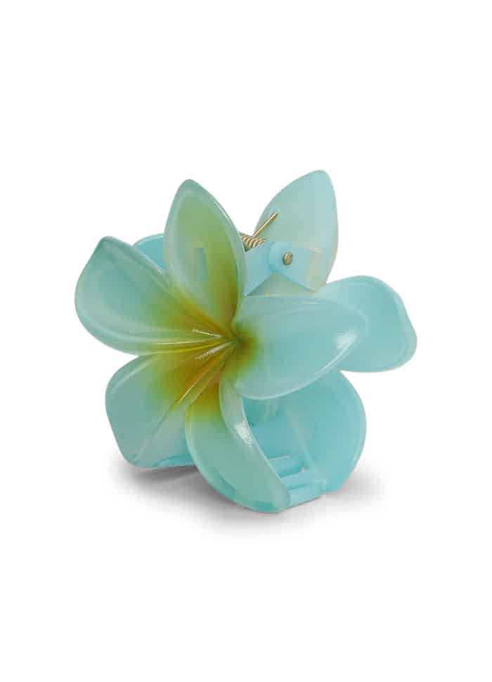Sui Ava Plumeria Bisou Big Blue
